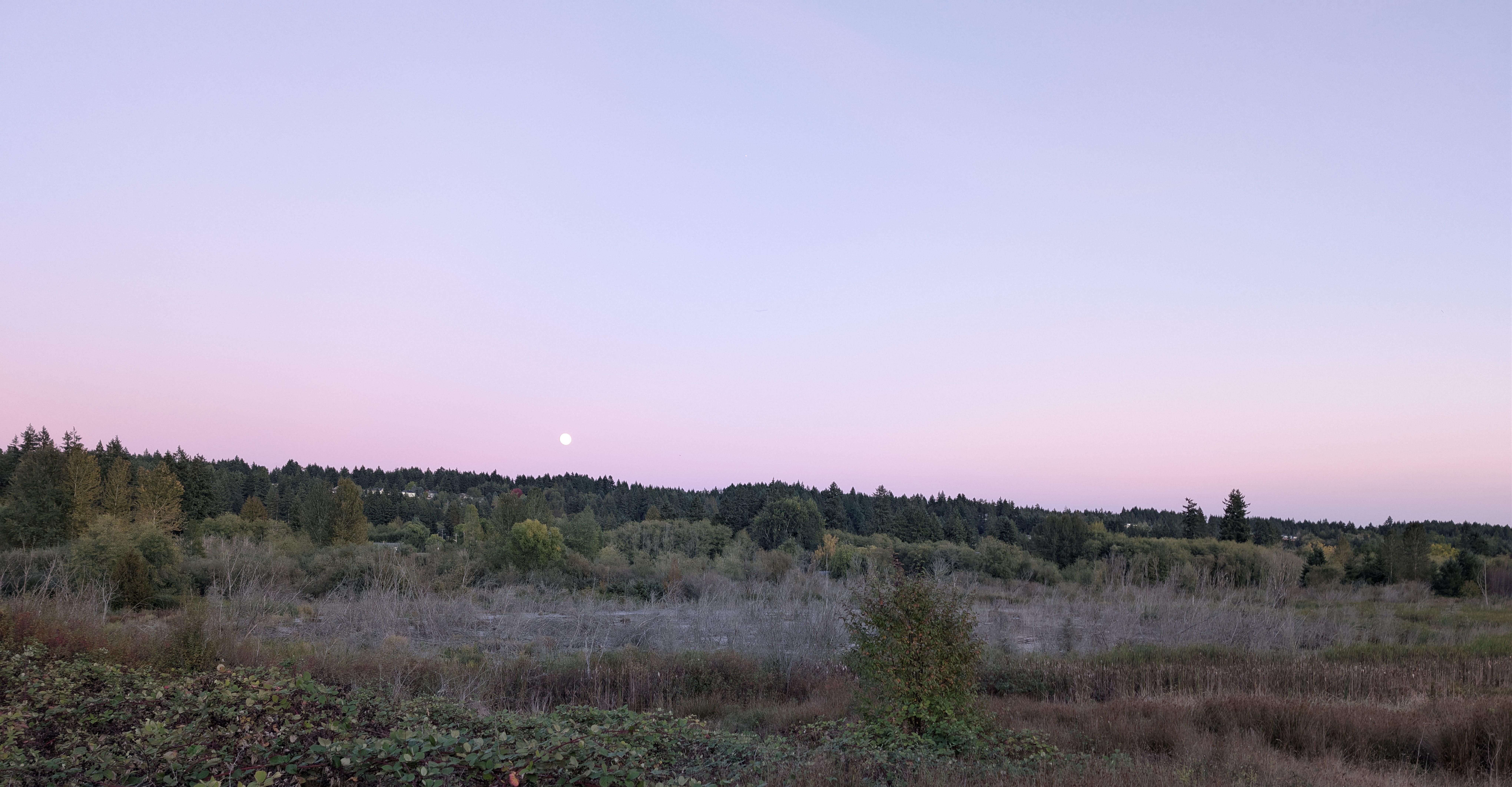 A picture, taken from a fall-colored field, of the rising moon set against a pink and blue evening sky.